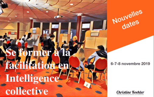 Faciliter en Intelligence Collective, formation, novembre 2019