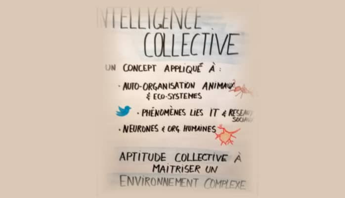 Intelligence collective et auto-organisation, transformation des organisations