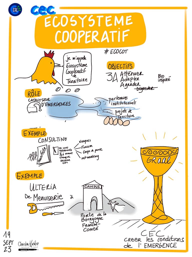 L'écosystème coopératif de terrtoire : le graal de la CEC ! 
sketchnote 