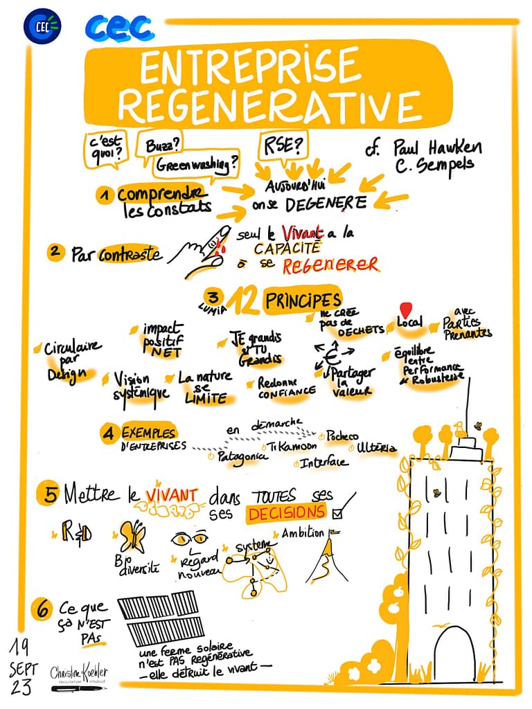 ce qu'est une entreprise régénérative. sketchnote par Christine Koehler