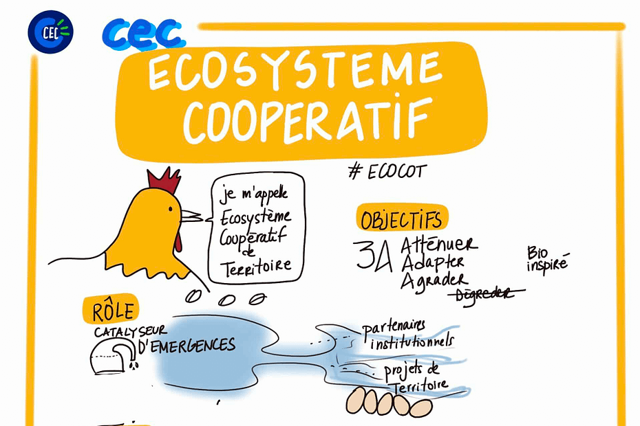 L'écosystème coopératif de terrtoire : le graal de la CEC ! sketchnote